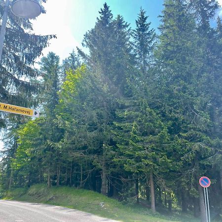 Tatry Ela Big Apartment Štrbské Pleso Εξωτερικό φωτογραφία