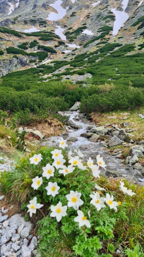 Tatry Ela Big Apartment Štrbské Pleso Εξωτερικό φωτογραφία
