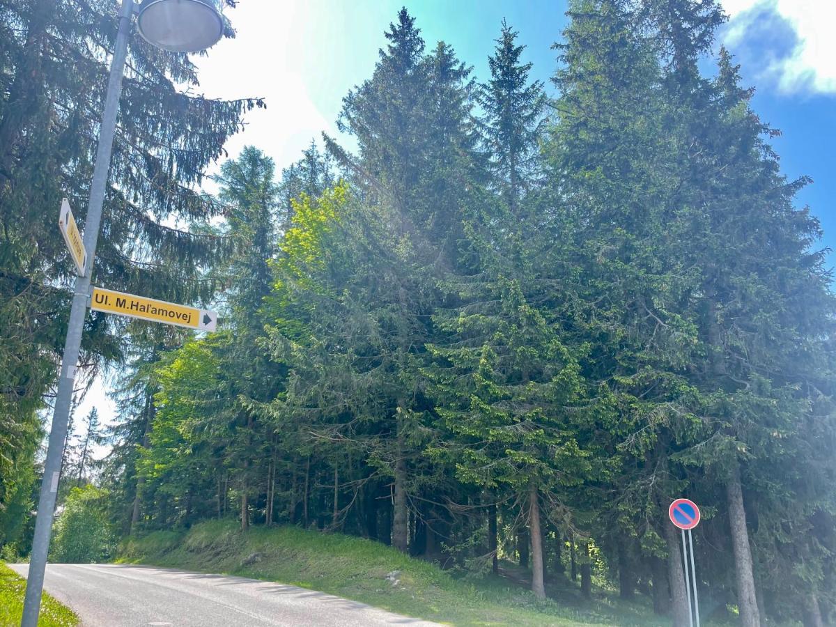 Tatry Ela Big Apartment Štrbské Pleso Εξωτερικό φωτογραφία